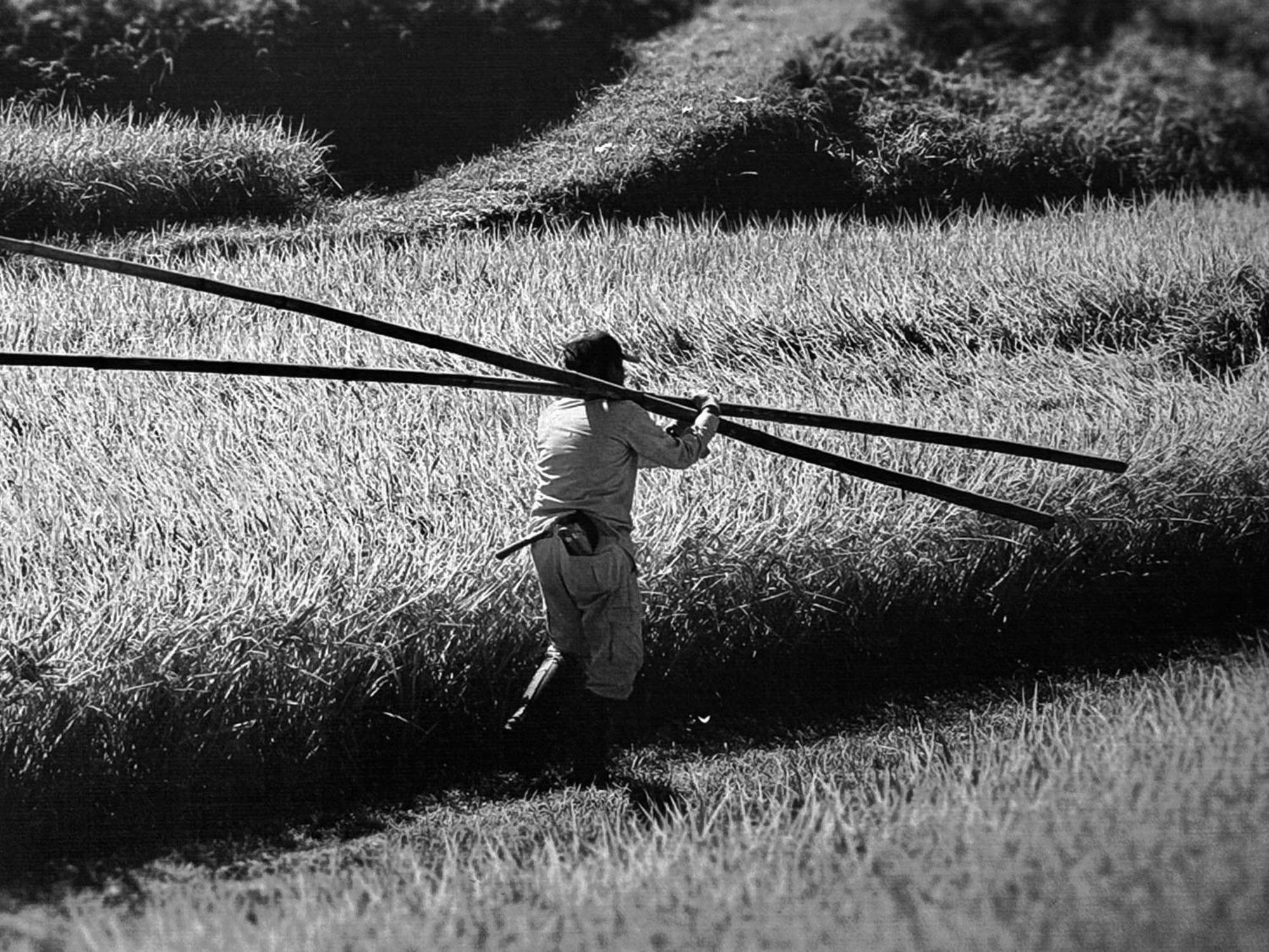 Mossca Mooi Ubud Exterior foto
