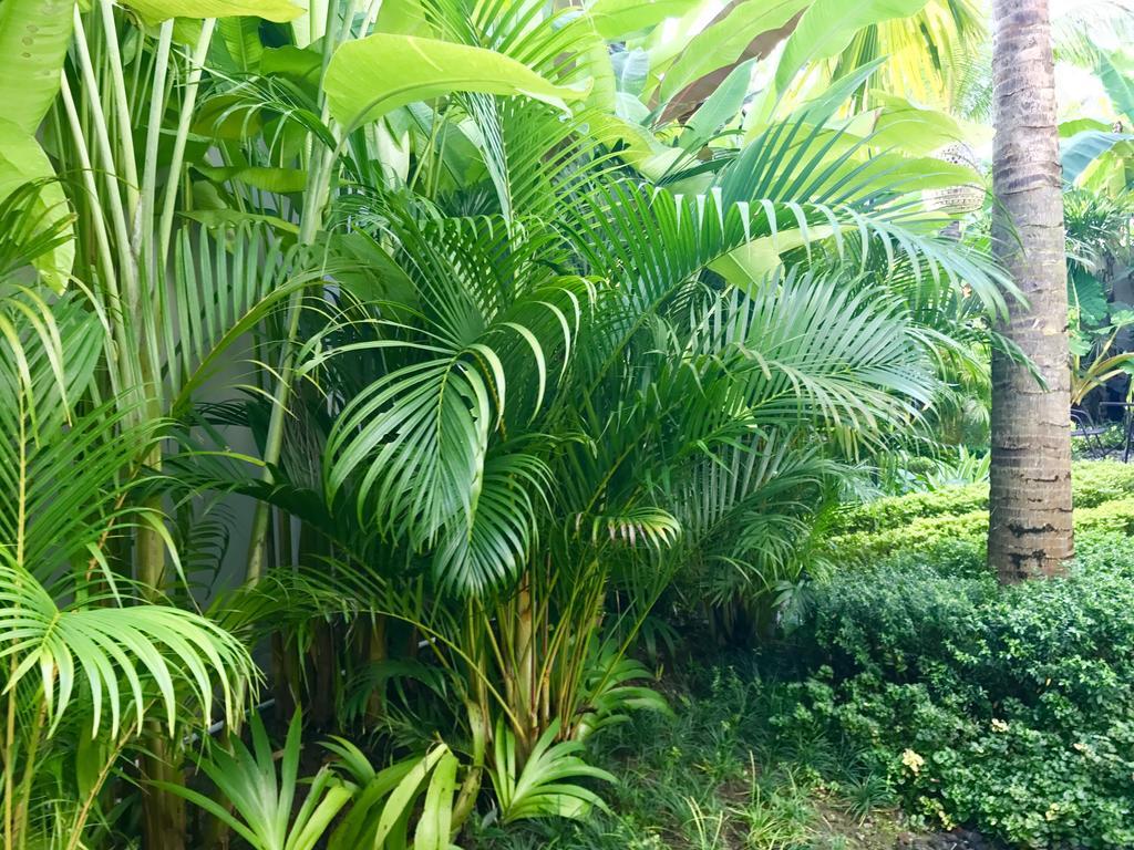 Mossca Mooi Ubud Exterior foto